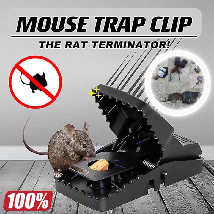 Heavy Duty Plastic Mouse Trap