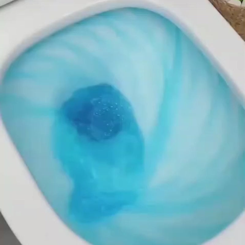 Toilet-Cleaner-Flush-Tank-Powerful-Scented-Tablet-300Flush-Shot-Each-Tablet (Pack of 10 pics)