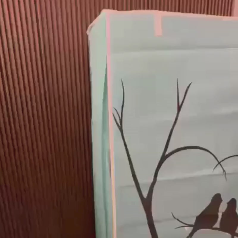 Non-Wooven Shoes Wardrobe Organizer