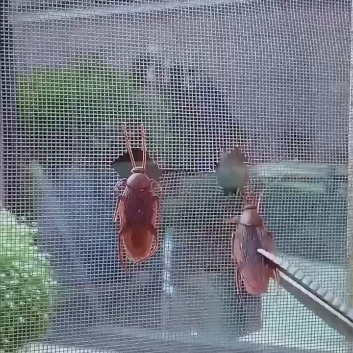Window Screen Net Repair Tape